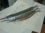 2011111715350000.jpg