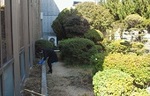 2012032914440000.jpg