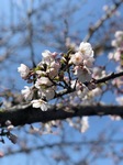 IMG_0314.jpg