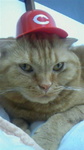 2011062919350000.jpg