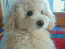 2012052709410001.jpg