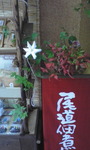 玄関の花.jpg