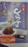 春のキャンペーン.jpg
